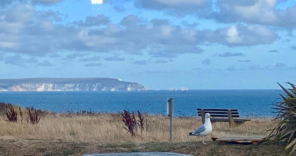 Shorefield Country Park, Where The New Forest Meets The Sea, Passes For All Entertainment Included 米尔福德昂西 外观 照片