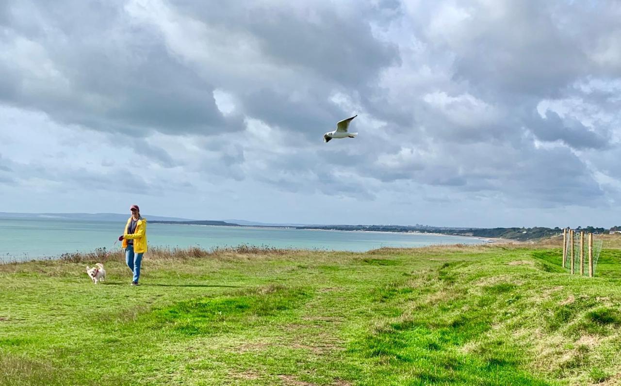 Shorefield Country Park, Where The New Forest Meets The Sea, Passes For All Entertainment Included 米尔福德昂西 外观 照片
